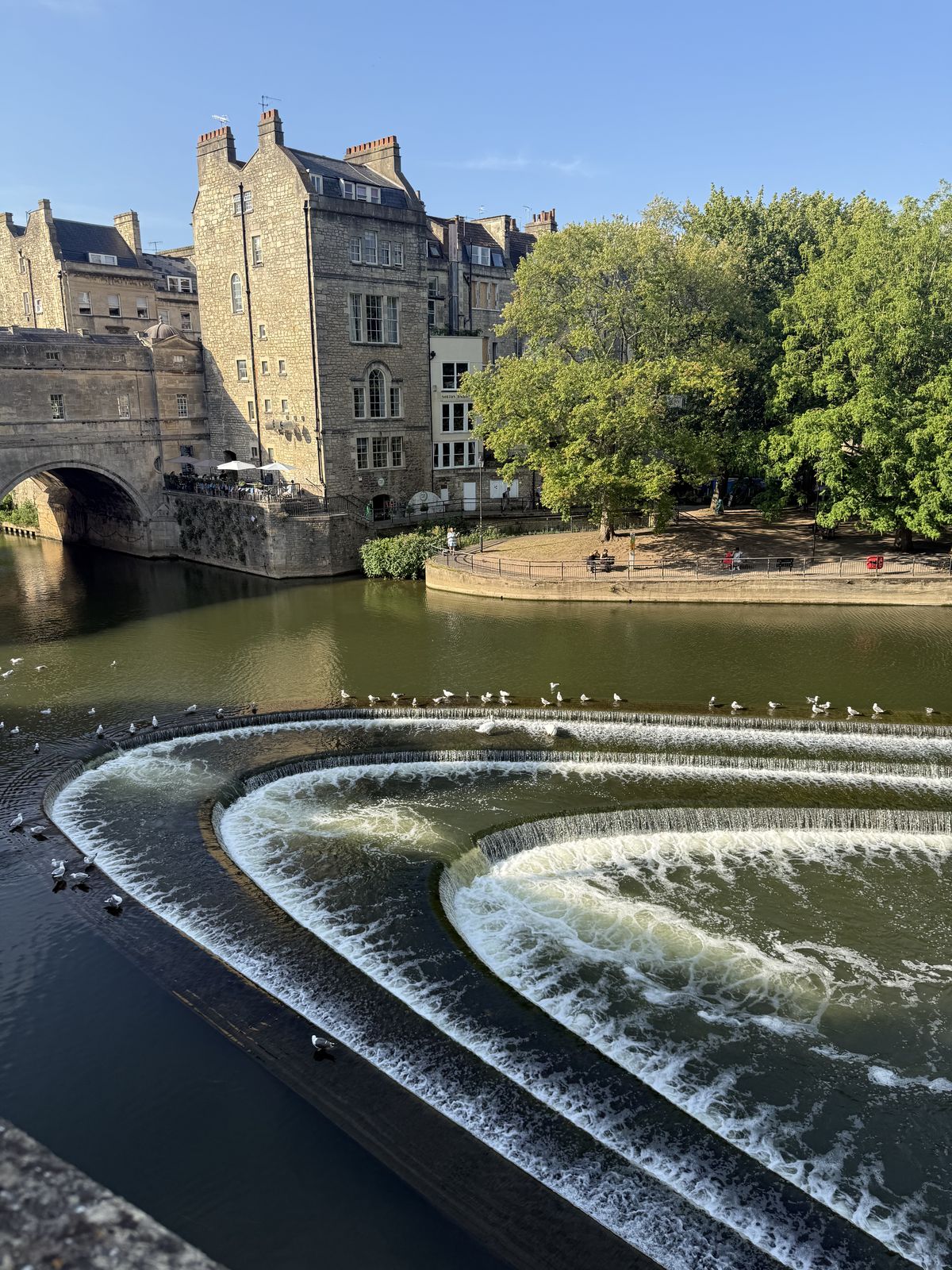 Gulls over the curved horseshoe weir on the River Avon below Pulteney Bridge